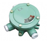 Explosion-proof Terminal Boxes U613A